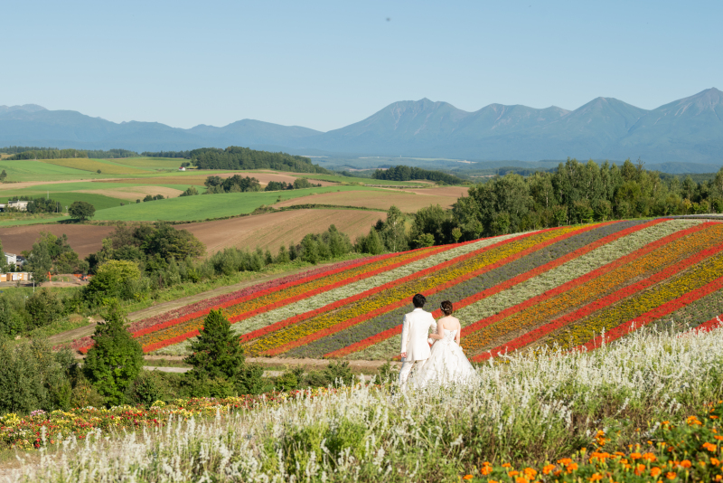 旭川・美瑛プラン