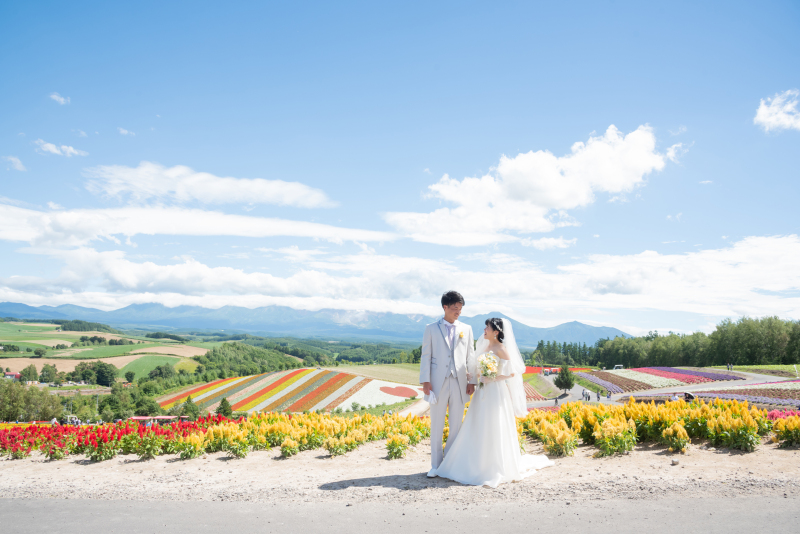 美瑛１か所プラン