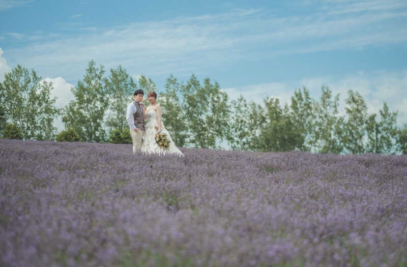 ここはラベンダー畑