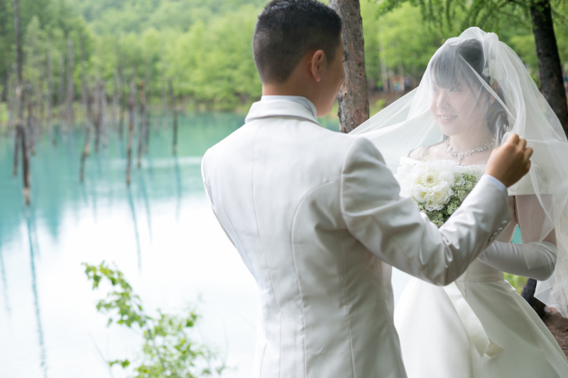 丘のうえを選んだ理由