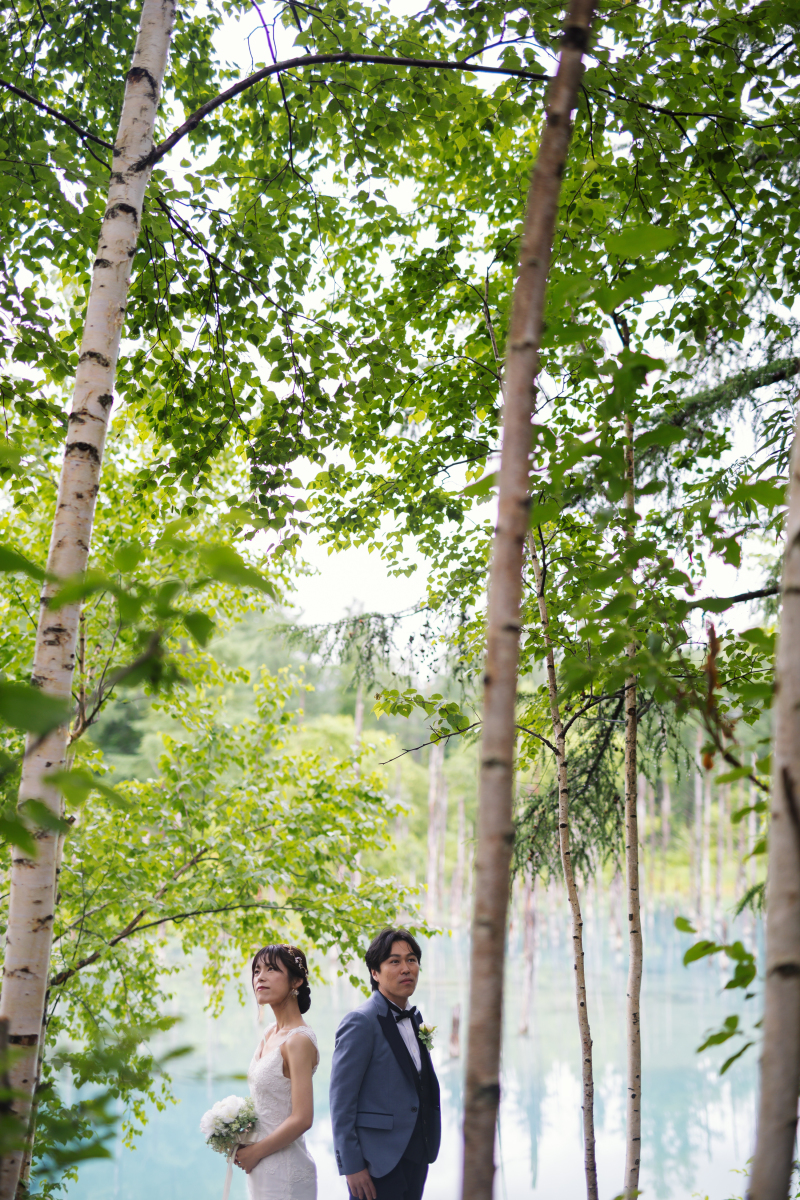 丘のうえを選んだ理由