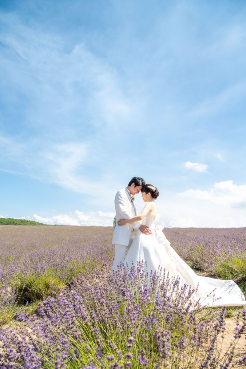 丘のうえを選んだ理由