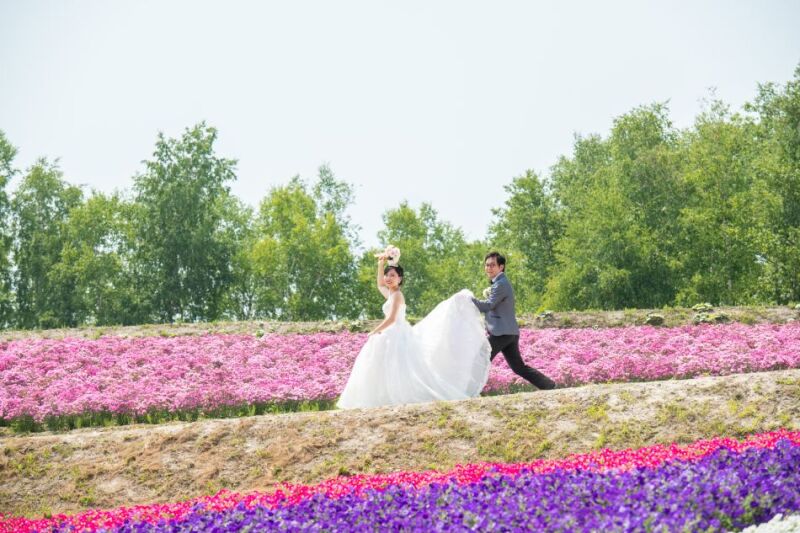 丘のうえを選んだ理由