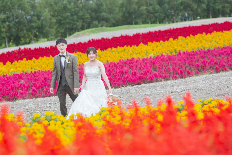 カラフルな四季彩の丘