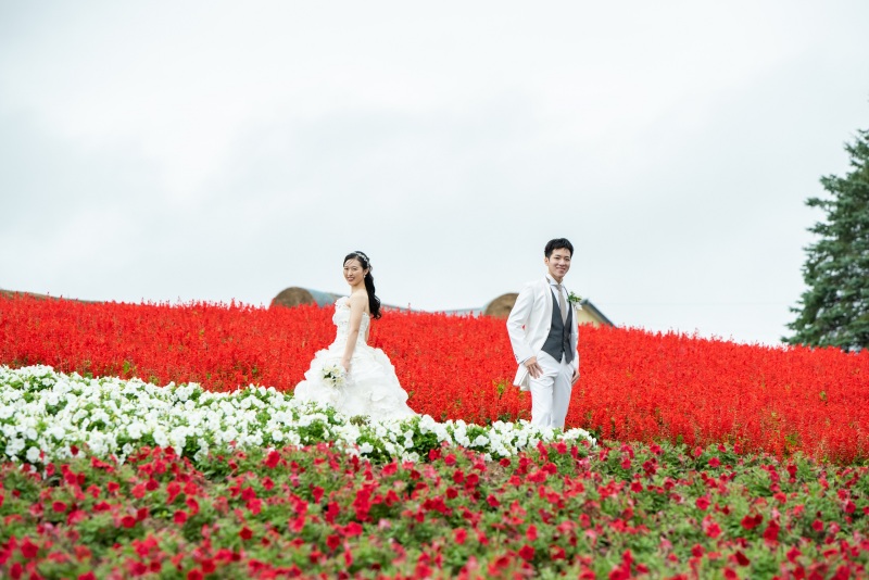 丘のうえを選んだ理由１