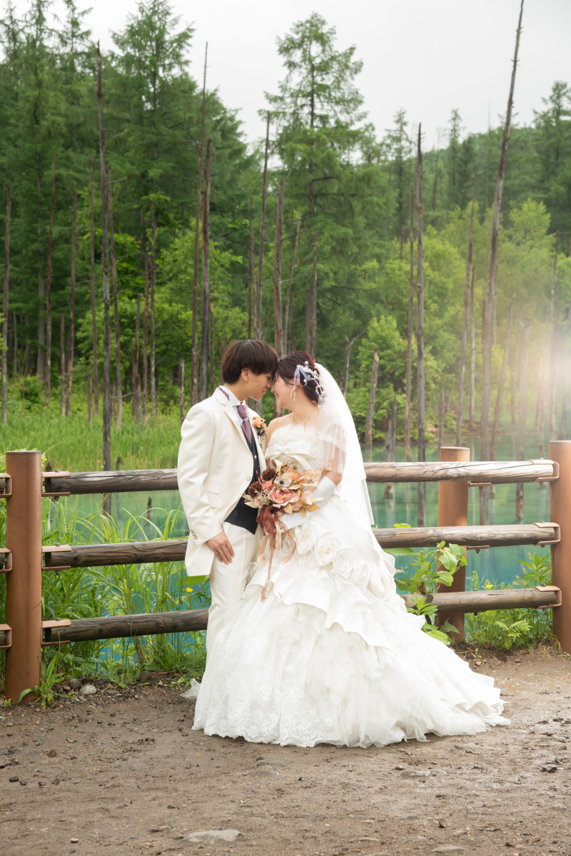 丘のうえを選んだ理由