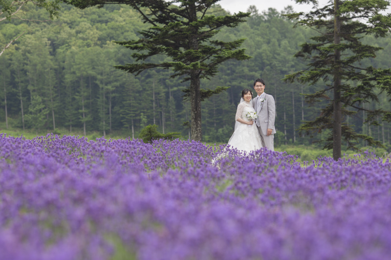 かなやま湖と森の間にラベンダー畑