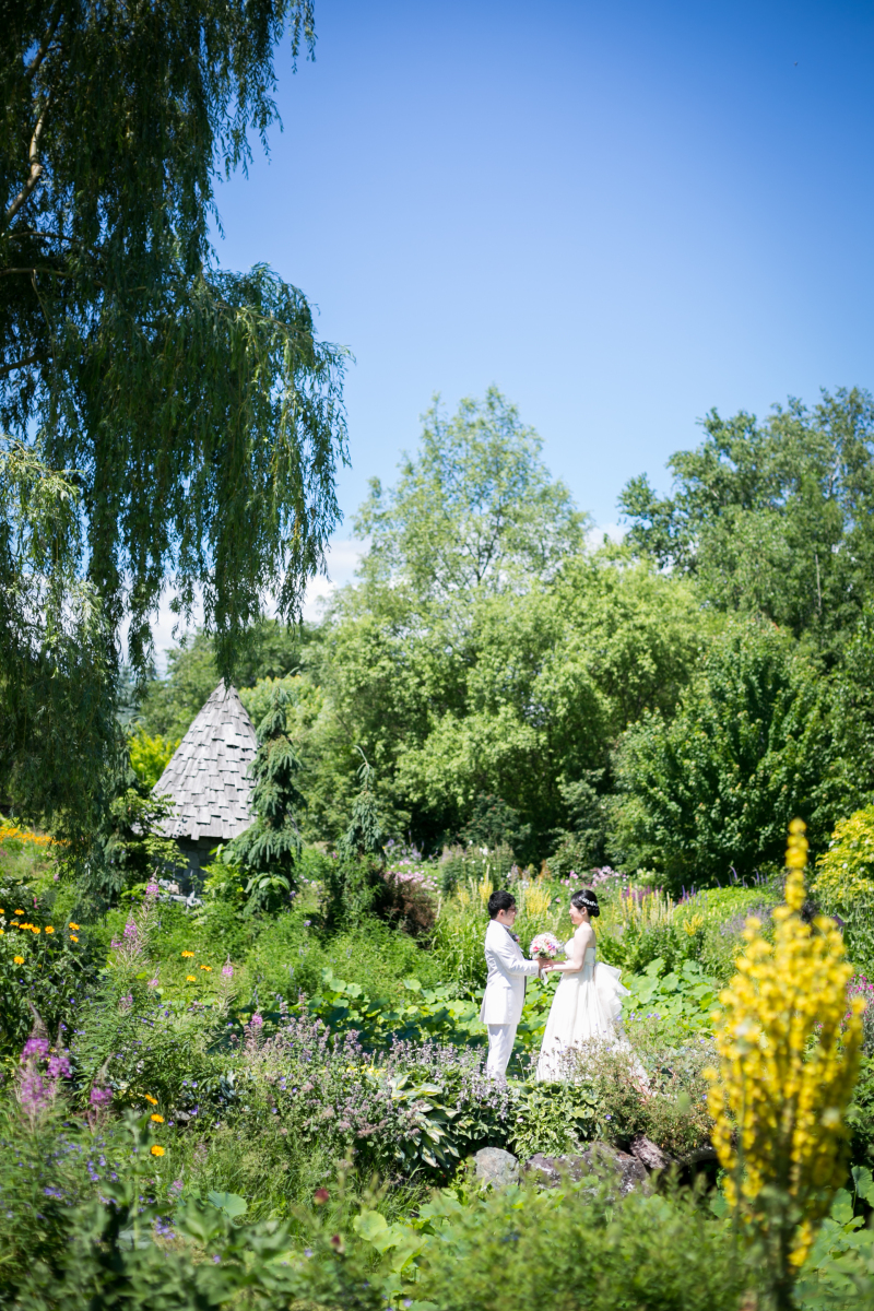 丘のうえを選んだ理由