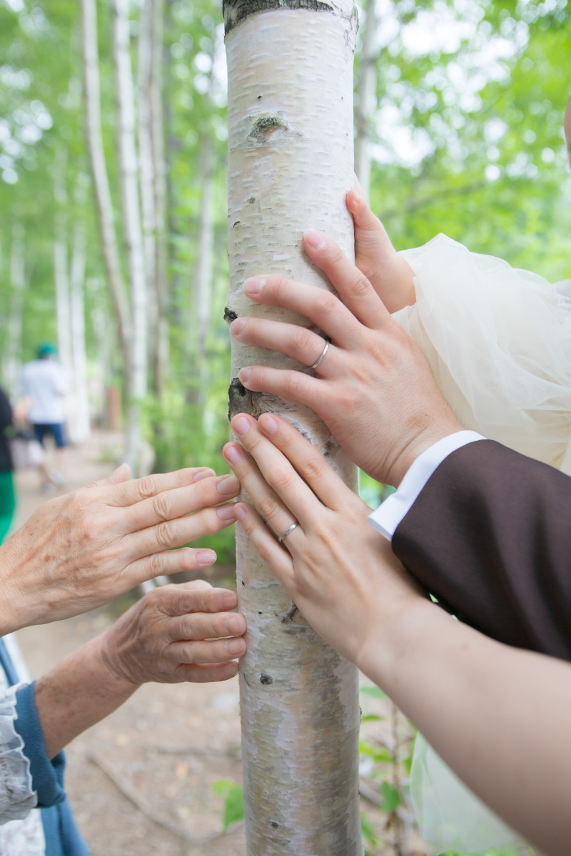 一言メッセージ