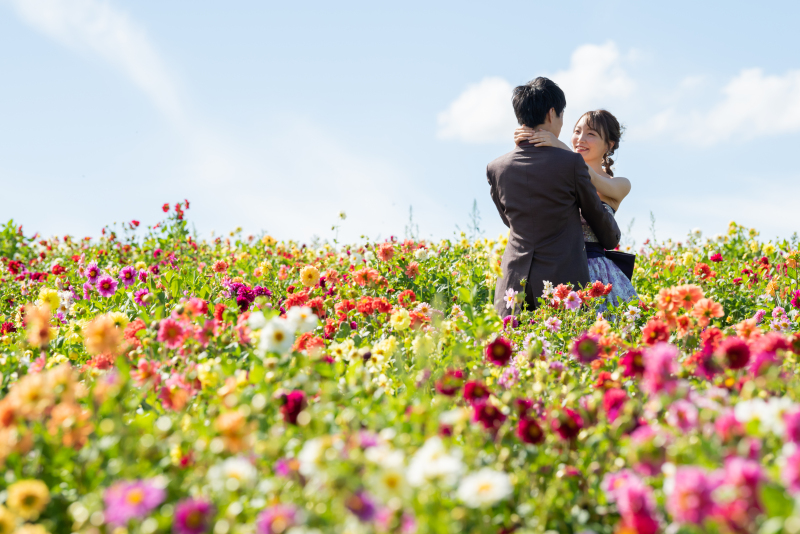  一言メッセージ