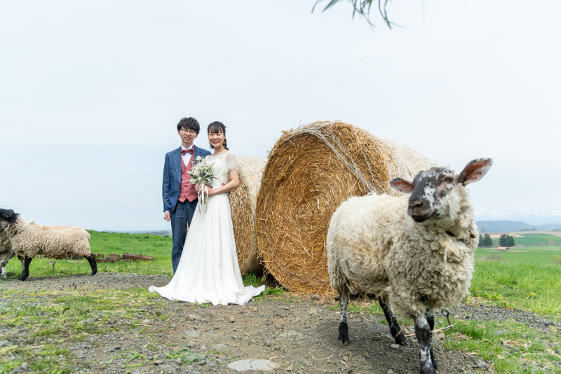 一言メッセージ