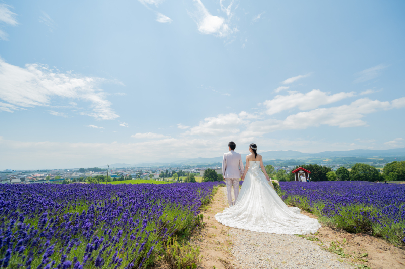 丘のうえを選んだ理由