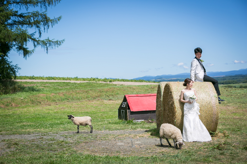 美瑛2か所プラン