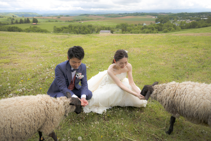 丘のうえを選んだ理由