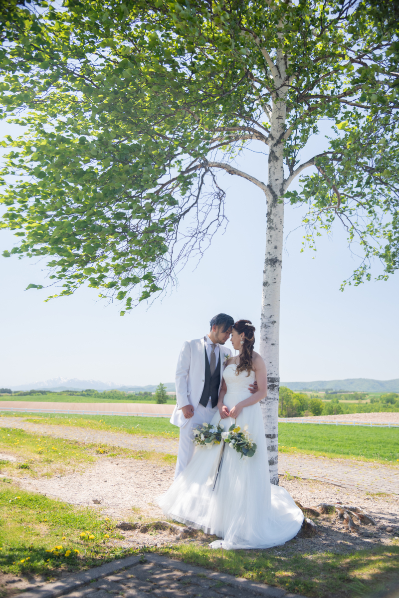 丘のうえを選んだ理由