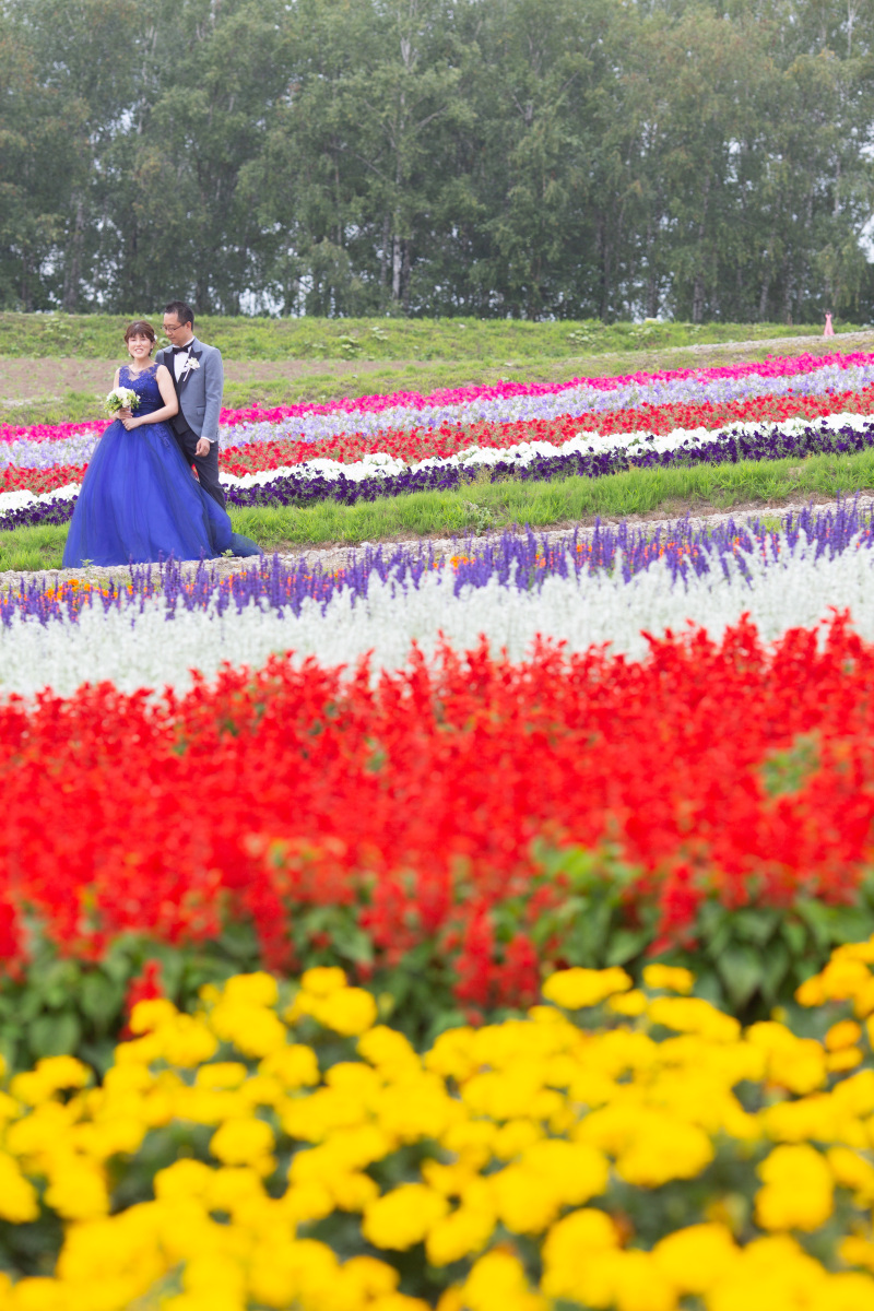 丘のうえを選んだ理由２