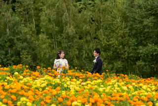 カラフルなお花畑の中でのWedding Photo／【お客様の声】