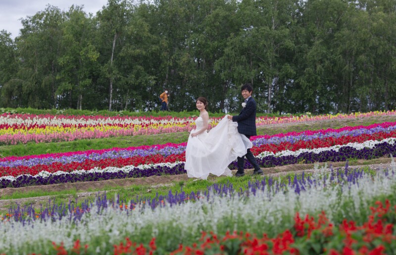 虹のようなお花畑