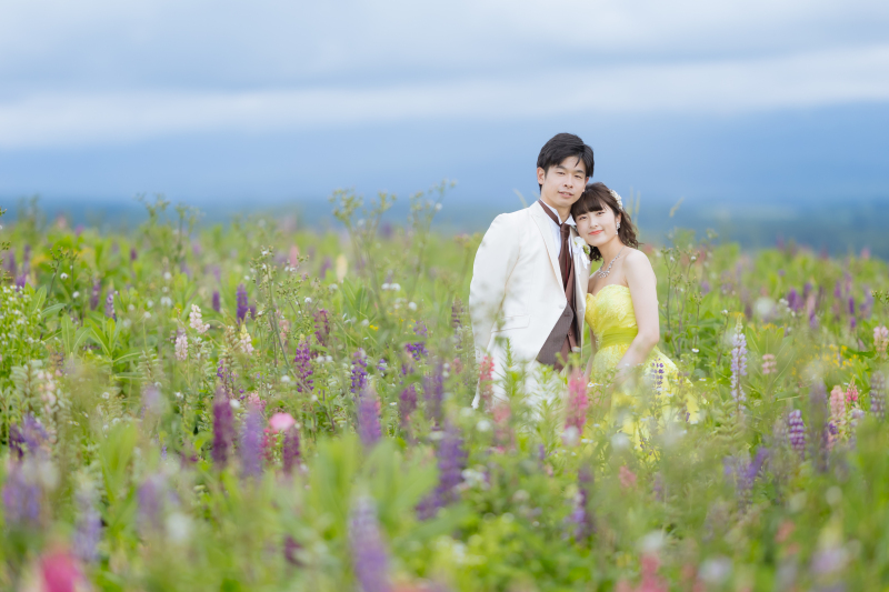 早咲きのルピナス