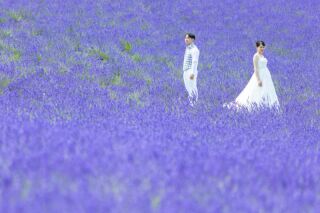 一面のラベンダーの中で。一生の記念に残るWedding Photo