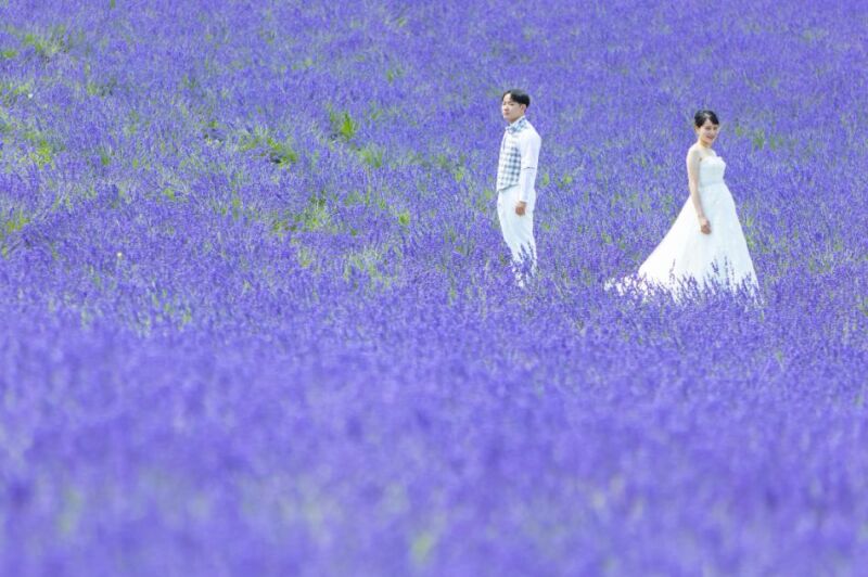 一面のラベンダーの中で。一生の記念に残るWedding Photo