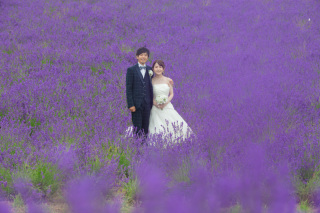 富良野ラベンダー、青い池、色彩の丘３か所