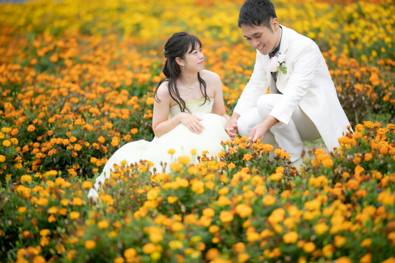 どれも素敵な写真で、何度も何度も眺めています