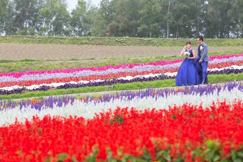 丘のうえを選んだ理由