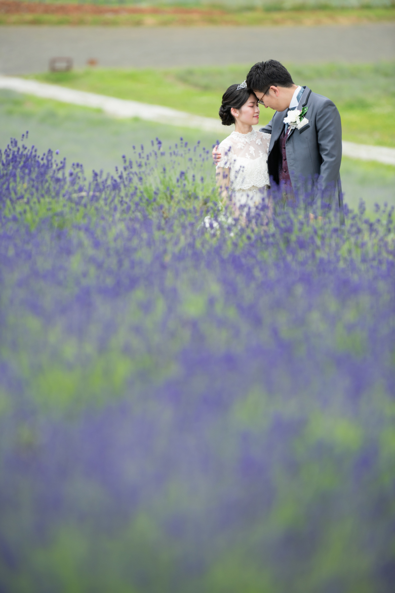 富良野1か所プラン