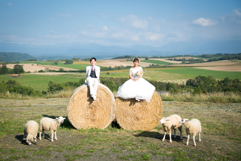 丘のうえを選んだ理由