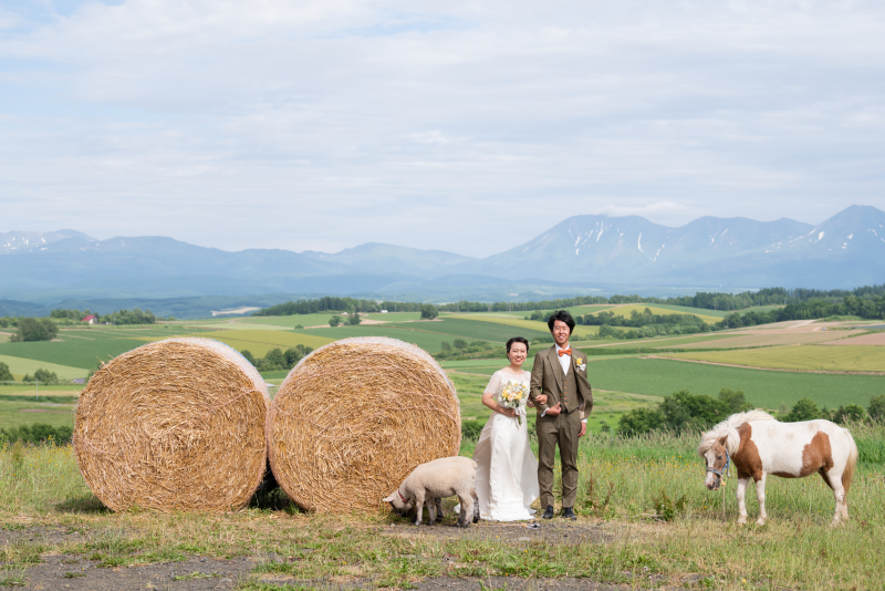 撮影3か所プラン