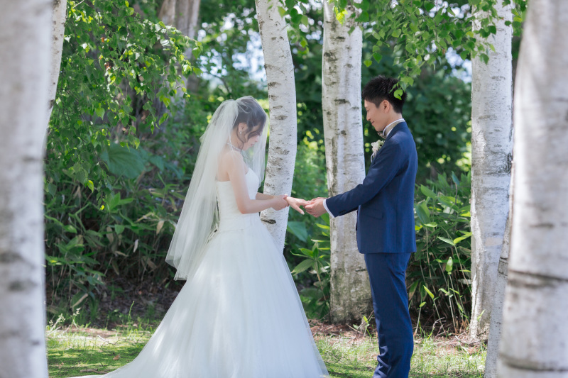 三愛の丘は白樺と丘