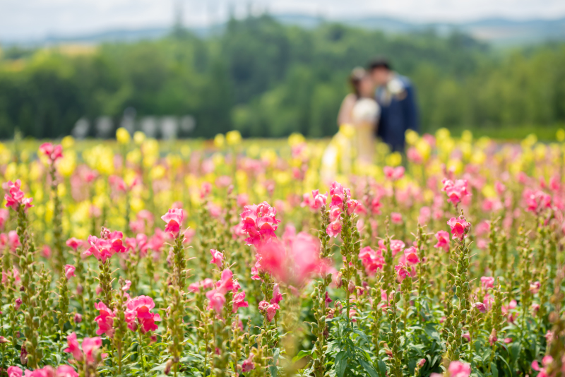 丘の上ロケーションションフォト撮影