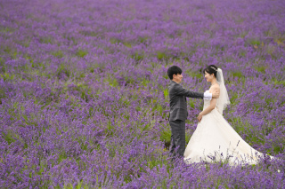 日の出公園ラベンダー＆かなやま湖のラベンダー贅沢に2か所フォトウェディング
