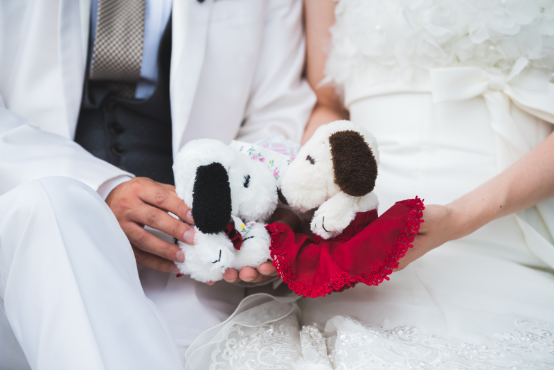 一言メッセージ