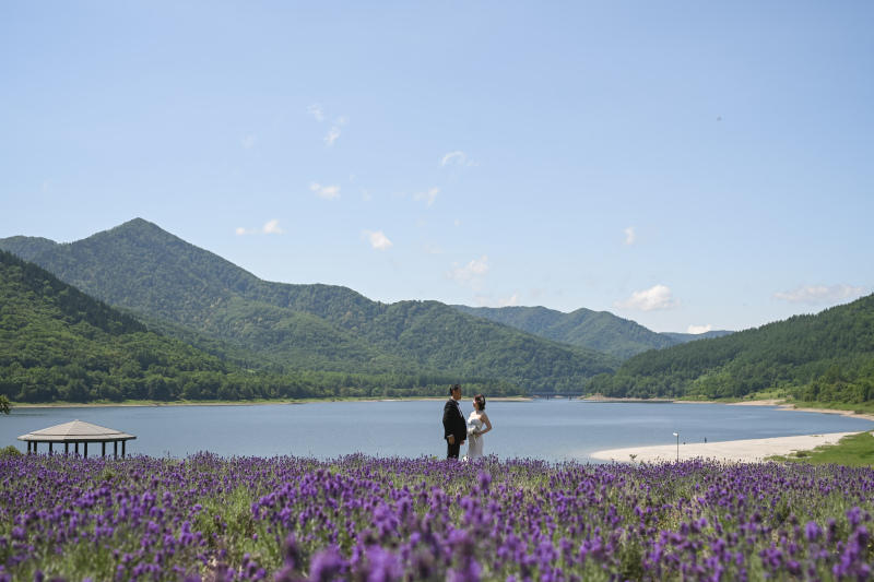 丘のうえを選んだ理由１