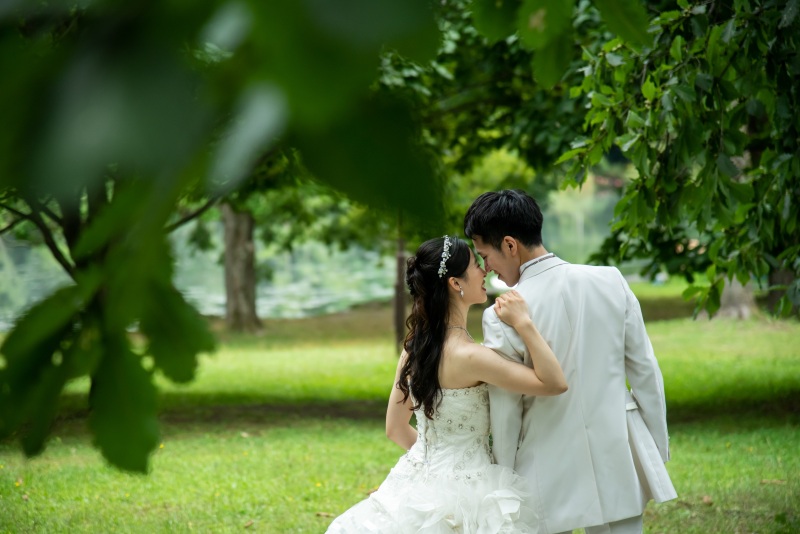 美瑛・富良野2か所プラン