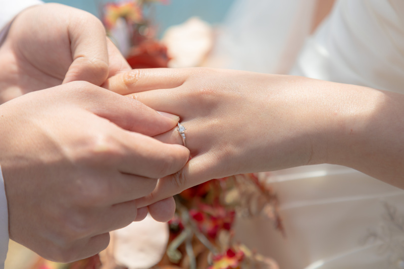 丘のうえを選んだ理由