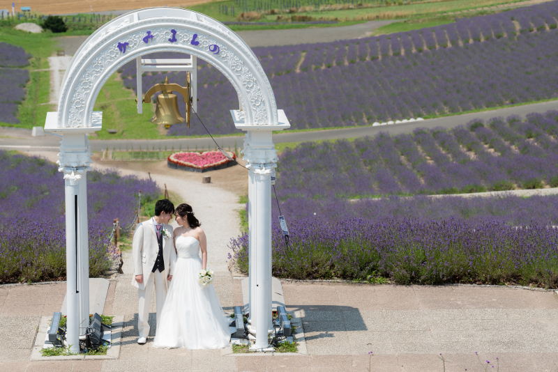 丘のうえを選んだ理由2