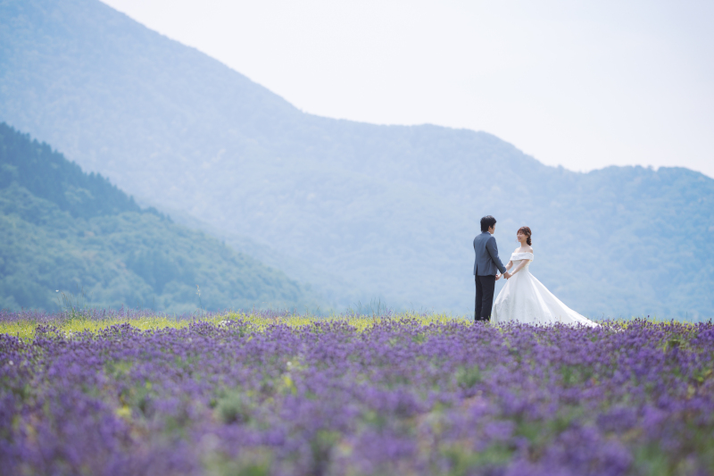 丘のうえを選んだ理由