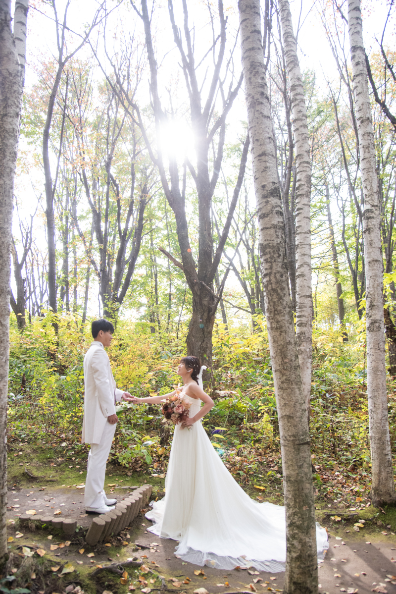 丘のうえを選んだ理由