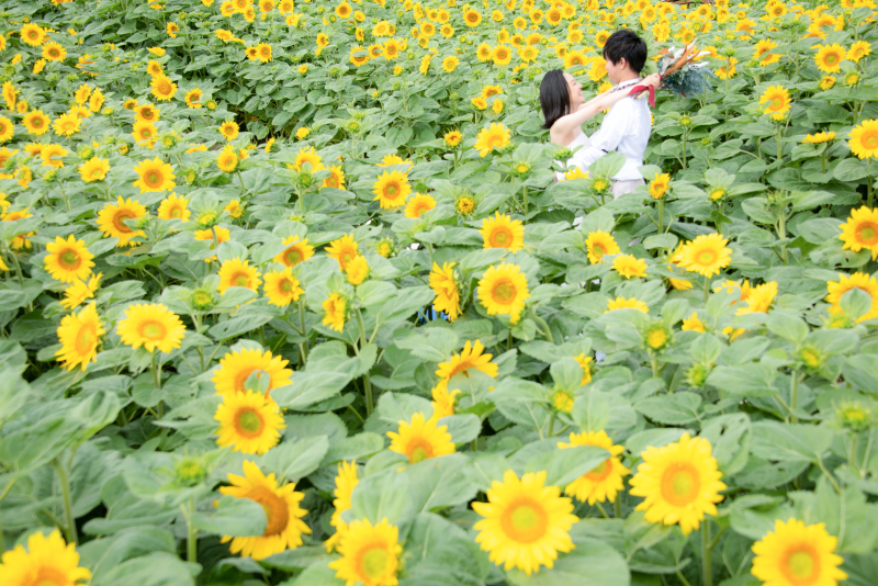 北海道フォトウェディングにこだわりはありましたか