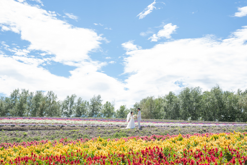 丘のうえを選んだ理由
