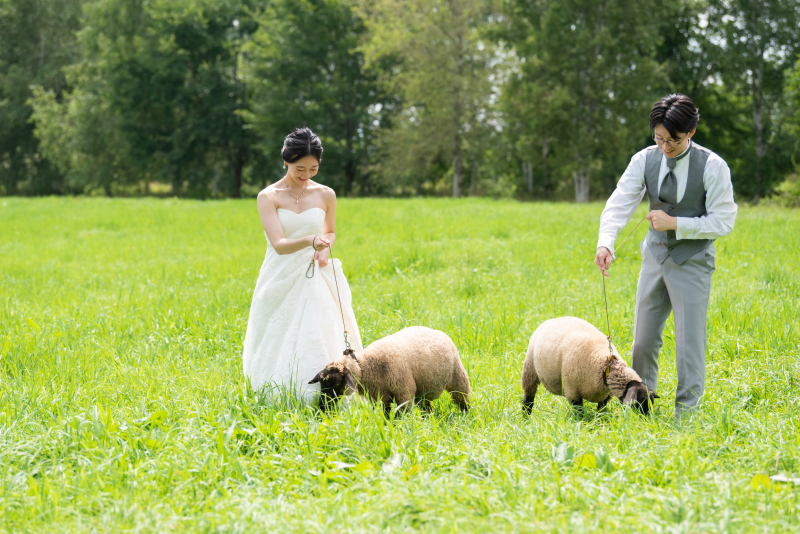 撮影チームの感想