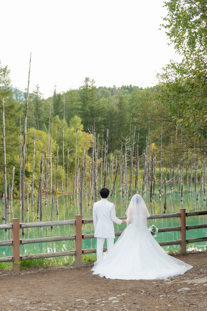 丘のうえを選んだ理由
