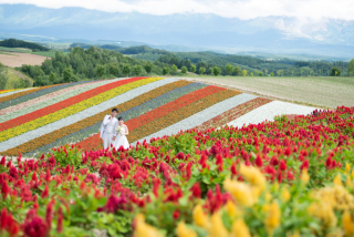 思い出の場所でのWedding Photo／【お客様の声】
