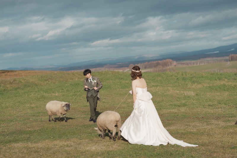 フォトウェディングのこだわりと選んだ理由