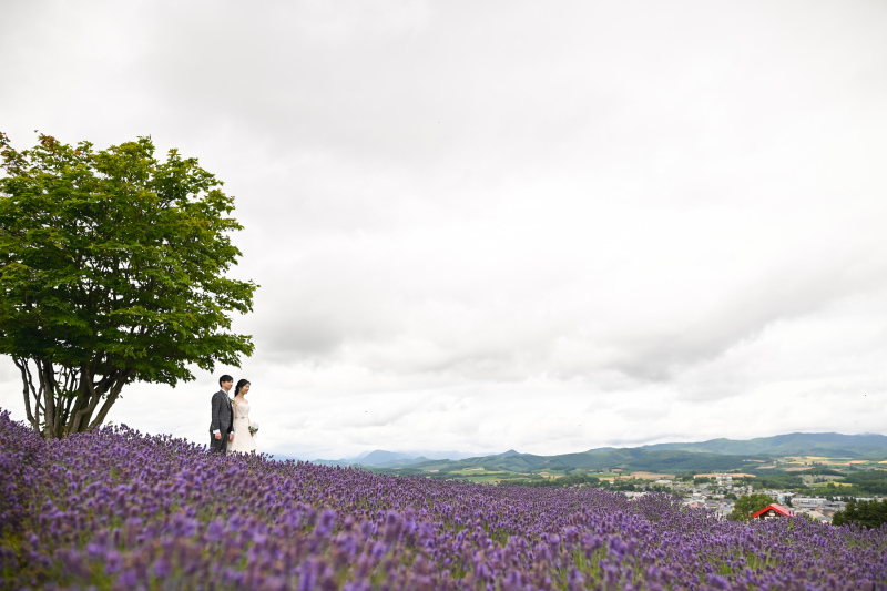 ラベンダーのお花の種類