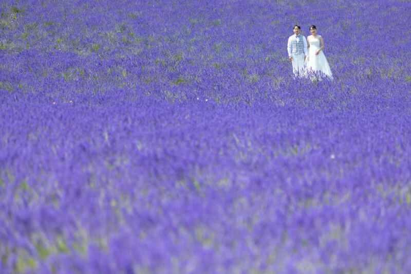 ご検討中の方へ