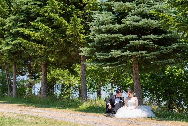 丘のうえを選んだ理由